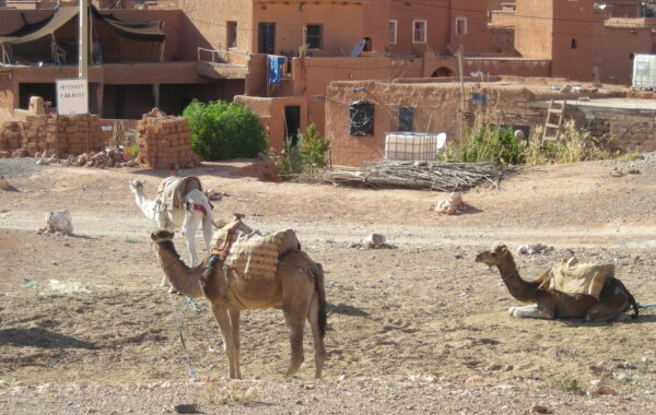 MaroccoBike-27-10-09-17-19-56